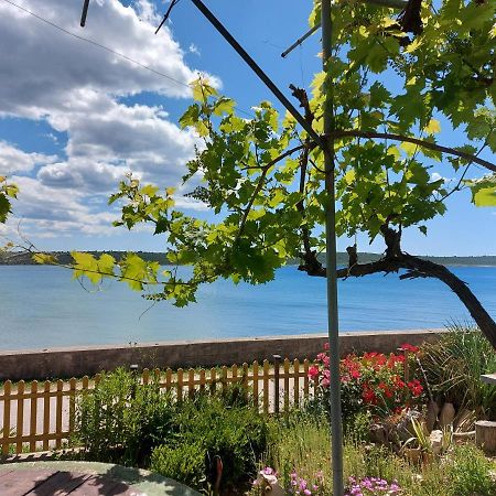 Apartmani Seaview Ljubač Exterior foto
